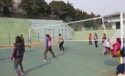 数学科学学院举行庆三八女子排球比赛