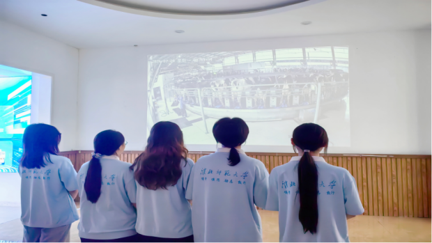 33b96c600a394d43989f671afa752cb6.png